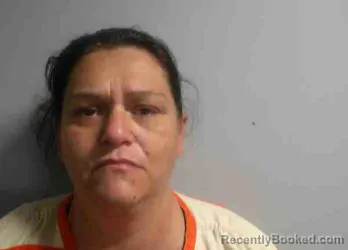 Mugshot of JULIA ANN CONN