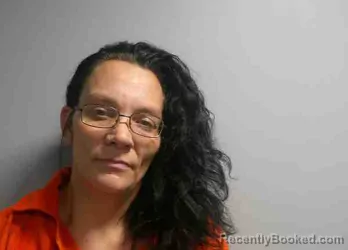 Mugshot of TAMMY LEE JOHNSON