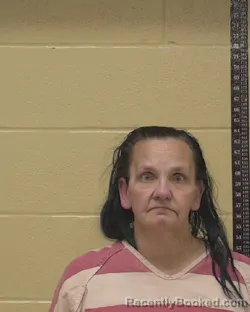 Mugshot of BARBARA LYNN WARREN