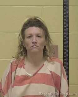 Mugshot of CASIE LYNN BONACCI