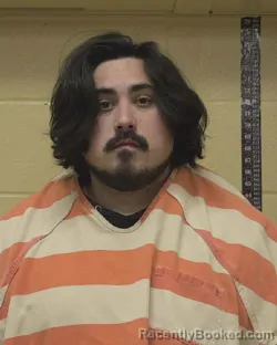 Mugshot of GREGORY ALEXANDER HERTLEIN