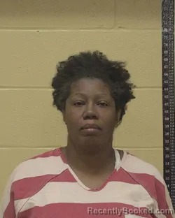 Booking photo from Bossier Parrish, Louisiana