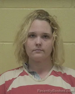 Mugshot of JESSICA LOWRY