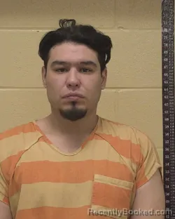 Booking photo from Bossier Parrish, Louisiana