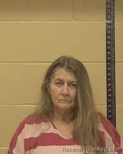 Mugshot of KATHERINE ARLENE KELLOGG