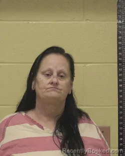 Mugshot of MELISSA LEE MASTERS