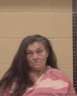 Mugshot of PAMELA JEAN WELLS