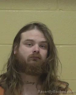 Mugshot of VINCENT WAYNE WALLACE