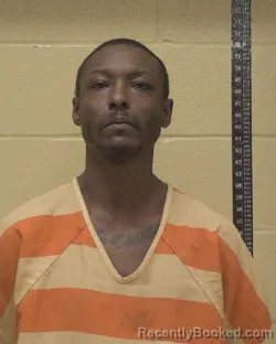 Mugshot of WHITNEY HOLLIE