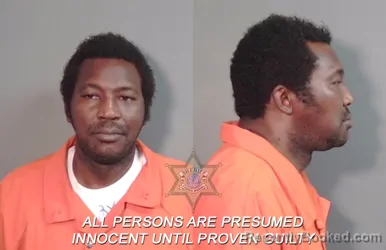 Booking photo from Caddo Parrish, Louisiana