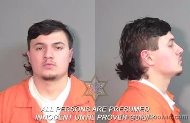 Booking photo from Caddo Parrish, Louisiana