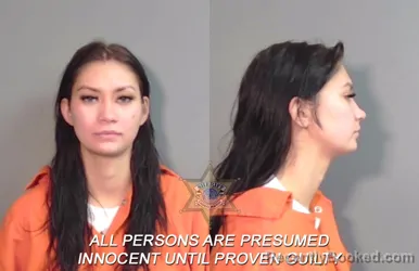 Mugshot of Kopper Lynn Williams