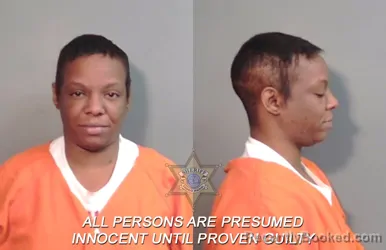 Mugshot of Roneika Shan'velma Johnson