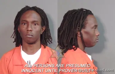 Mugshot of Arthur Delawrence Robinson