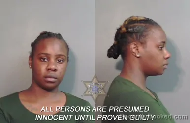 Mugshot of Shanterica Deshun Blue