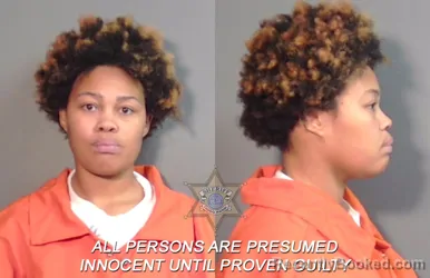 Mugshot of Lakessea Maryell Hawkins