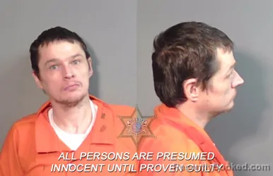 Mugshot of Richard Allen Lee