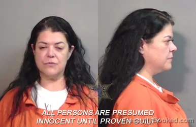 Mugshot of Stacy Elizabeth Wilson