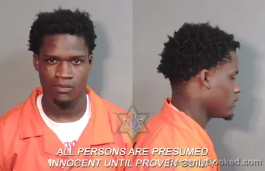 Booking photo from Caddo Parrish, Louisiana