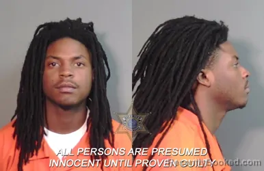 Mugshot of Joe Edward White