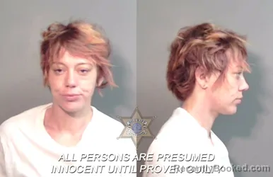 Mugshot of Nina Marlene Robinson