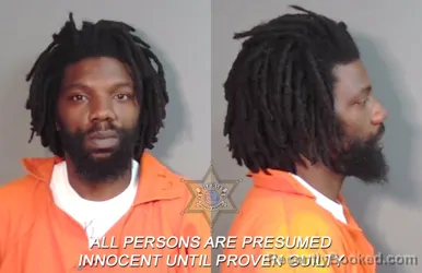 Booking photo from Caddo Parrish, Louisiana