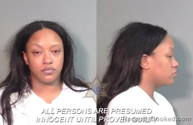 Mugshot of Lauren Paige Williams