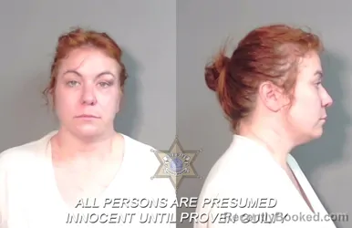 Mugshot of Brooke Ashley Laborde