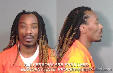 Mugshot of Donnell Demonds' Gray