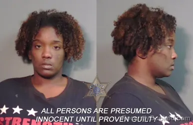 Mugshot of Labrisha Monique Sheppard