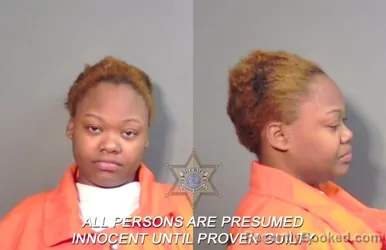 Mugshot of Carmen Deon Alexander