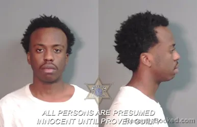 Booking photo from Caddo Parrish, Louisiana