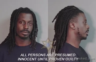 Mugshot of Deandre Jr Sims