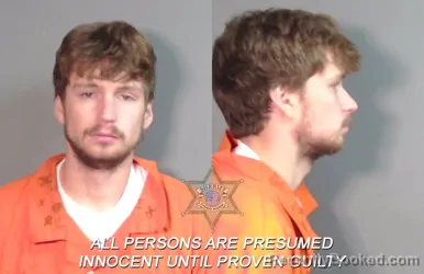 Mugshot of Seth Aldy Carbine