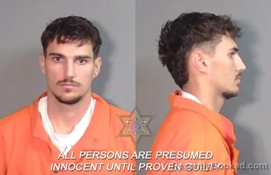 Mugshot of Kaden James Fleming