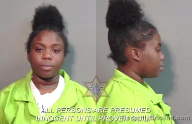 Mugshot of Titiana Lashay Glover