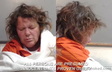 Mugshot of Marsha Antoinette Holland