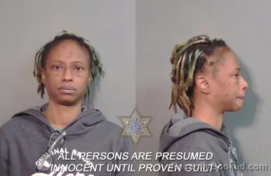 Mugshot of Octavia Lashay Netters