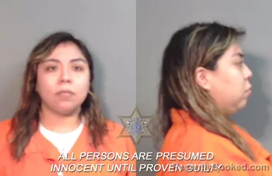 Mugshot of Kyndra Mara Periban