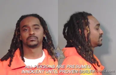 Mugshot of Deandra Salone