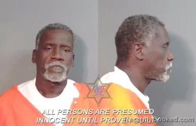 Mugshot of Stephen Renard Loveless