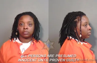 Mugshot of Briana Cherie Anderson