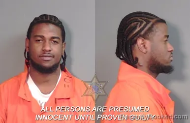 Mugshot of Labryan Damar Lee