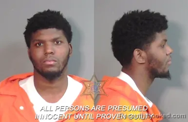 Mugshot of Michael Mccoy