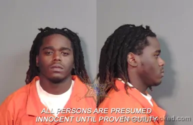 Mugshot of Emmanuel Nehemiah James