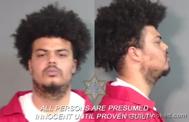 Mugshot of Christian D'wayne Henderson