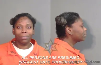 Mugshot of Shabrina Renee Green