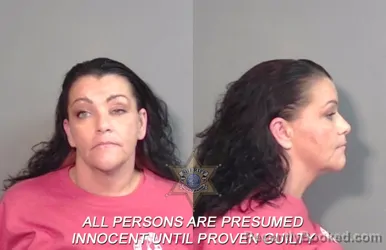 Mugshot of Stella Michelle Mancho