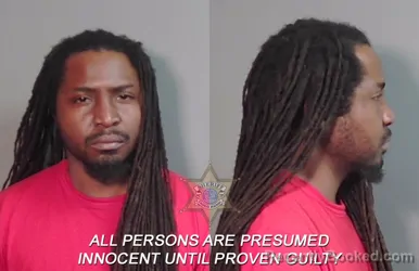 Mugshot of Dominique Chevez Ellis