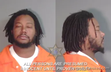 Mugshot of David Ii Gant